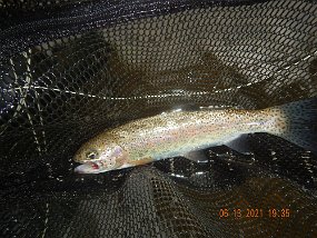 $KettleCreekValley6-12 thru 6-16-2021031$ And another evening rainbow. It's starting to get its natural colors.